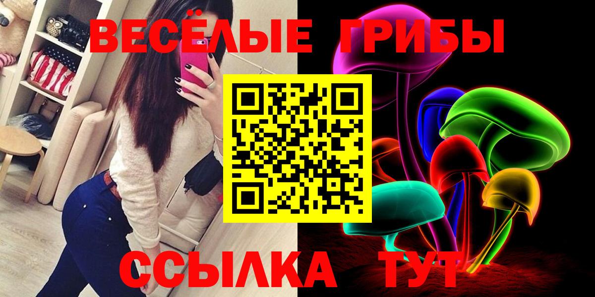 Одинцово  Галлюциногенные грибы Psilocybe  Вход с VPN 